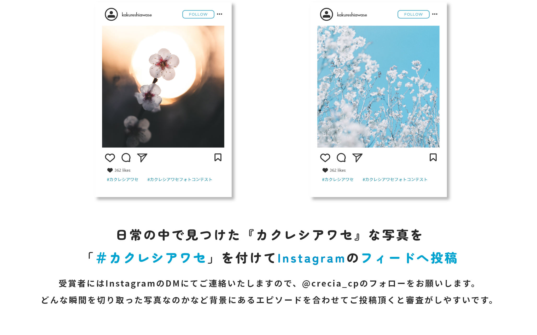 日常の中で見つけた『カクレシアワセ』な写真を
                    「＃カクレシアワセ」を付けてInstagramのフィードへ投稿
                    受賞者にはInstagramのDMにてご連絡いたしますので、@crecia_cpのフォローをお願いします。
                    どんな瞬間を切り取った写真なのかなど背景にあるエピソードを合わせてご投稿頂くと審査がしやすいです。