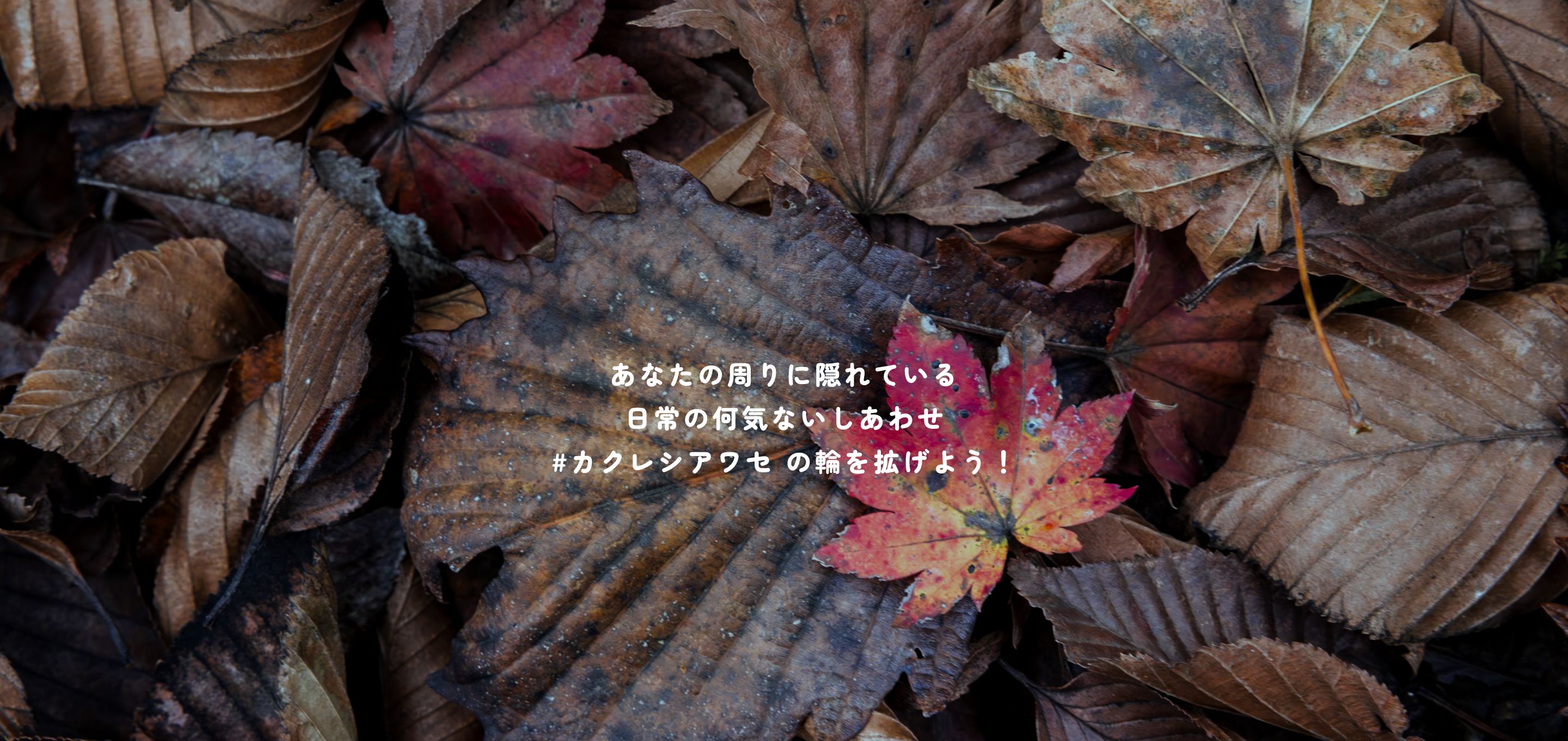 あなたの周りに隠れている
                                日常の何気ないしあわせ
                                #カクレシアワセ の輪を拡げよう！