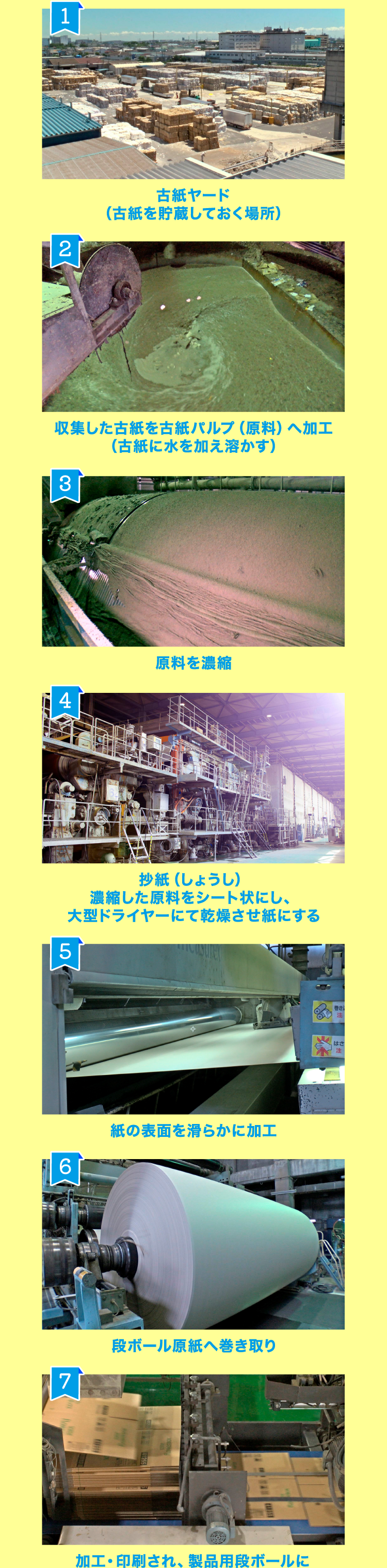1:古紙ヤード（古紙を貯蔵しておく場所） 2:収集した古紙を古紙パルプ（原料）へ加工（古紙に水を加え溶かす） 3:原料を濃縮 4:抄紙（しょうし）濃縮した原料をシート状にし、大型ドライヤーにて乾燥させ紙にする 5:紙の表面を滑らかに加工 6:段ボール原紙へ巻き取り 7:加工・印刷され、製品用段ボールに